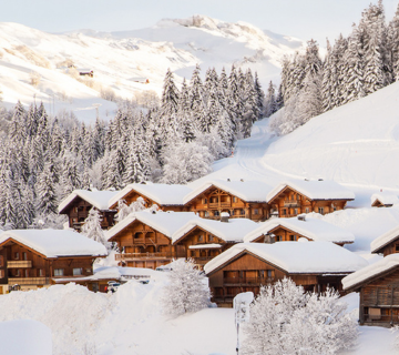 Ski-in / Ski-out